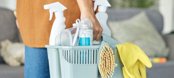 Imagen del artículo Reconocimiento del paro a empleadas de hogar despedidas antes de la reforma